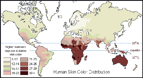 Japanese Skin Colour Chart