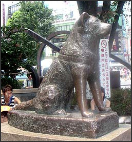Dog Breeds In Japan Akita Tosa Shiba And Kai Ken Facts And