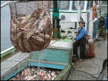 Image result for japan fishing