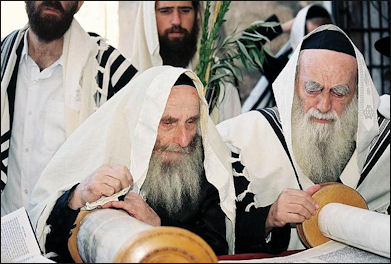 20120504-Lettura della Torah mattutina.jpg