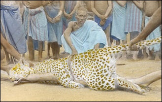 LEOPARD ATTACKS AND LEOPARDS AND HUMANS | Facts and Details