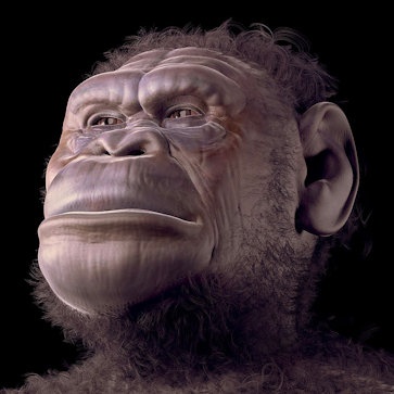 australopithecus sediba map