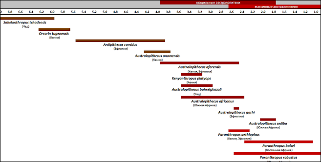 australopithecus sediba timeline