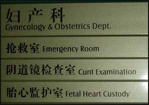 New 'Chinglish' Guide to Standardize Translation, Prevent Gaffes