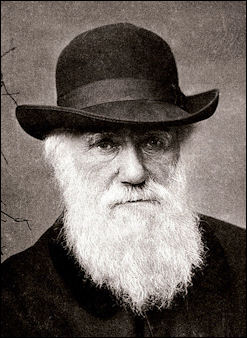 20120201-437px-Charles_Darwin_1880.jpg