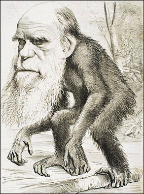 20120201-Charles_Darwin_as_an_ape_(1871).jpg