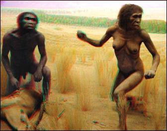 20120202-Australopithecus_couple.jpg