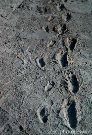 20120202-footprint.jpg