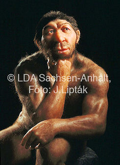 20120205-Rekonstruktionsversuch_eines_Neandertalers.jpg