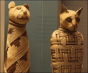 20120214-British_museum_Egypt_mummies_of_animals_.jpg