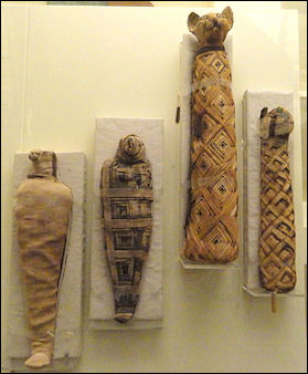 ANCIENT EGYPTIAN ANIMAL MUMMIES | Facts and Details