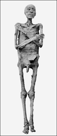 20120215-Ramses_IV_mummy.png