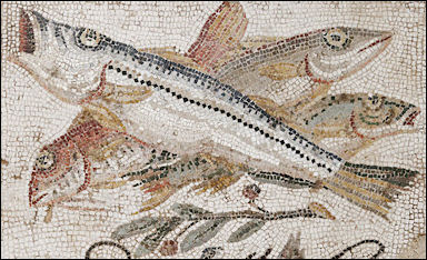 History of Fishing: in the Prehistoric, Ancient, Medieval and Modern Eras
