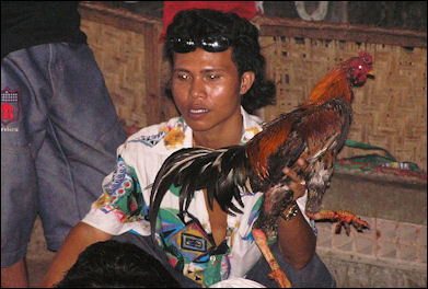 20120514-Cock_and_owner_Bali.jpg