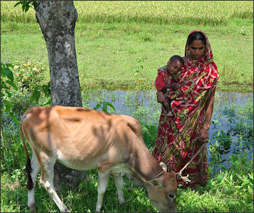 20120515-village_women_in_Bangladesh.JPG