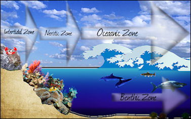 20120517-Ocean_Zones.jpg