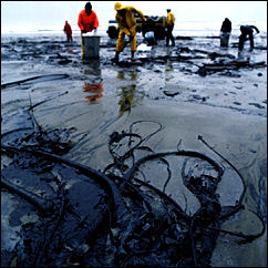 20120517-Oil-spill.jpg