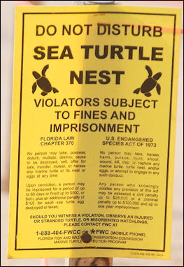 20120519-Sea_Turtle_Nest_-_posted.JPG