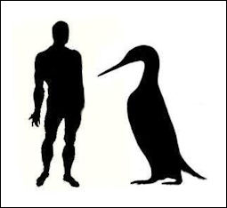 20120520-Giant_Penguin.jpg