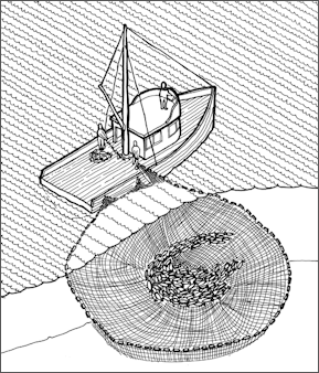 Types of Commercial Fishing and Nets: Trawling, Longlines, Purse