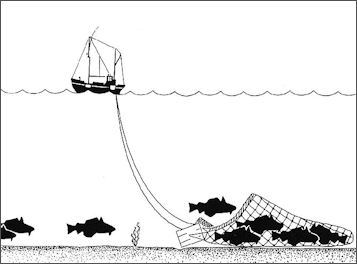 20120521-800px-Trawling_Drawing.jpg