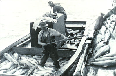 20120521-Loading_salmon.jpg