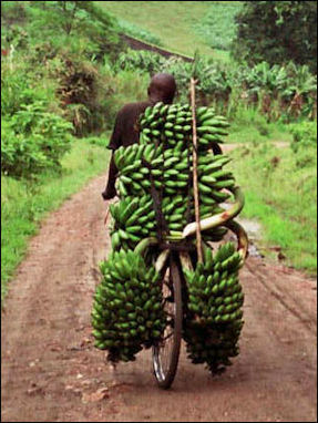 20120525-Banana_carrier_Uganda.jpg