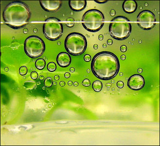 20120525-Biofuels.jpg