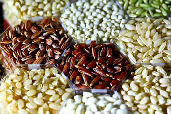 20120525-Rice_grains_(IRRI).jpg