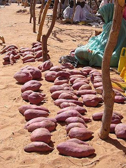 20120525-Yams_at_refugee_camp_in_Chad.jpg