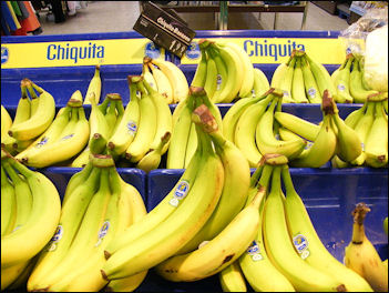 20120525-bananasChiquita_bananas.jpg