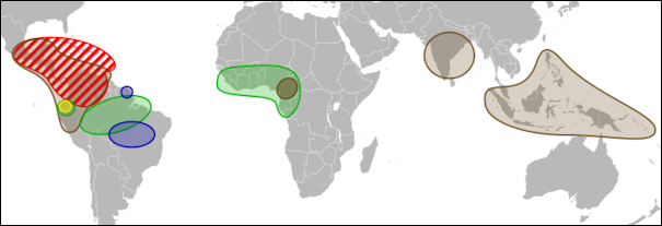20120526-800px-Cacao_species_-_World_distribution_map_-blank.svg.png