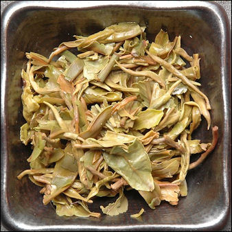 20120526-Darjeeling-tea-first-flush-leaf-after-steeping.jpg