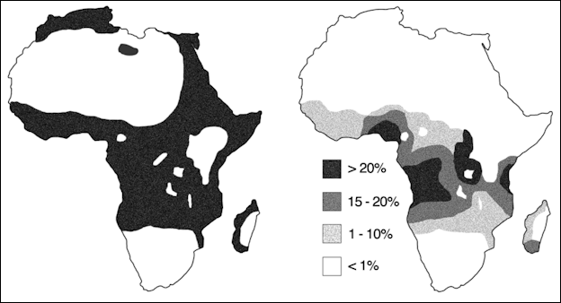 20120531-800px-Malaria_versus_sickle-cell_trait_distributions.png